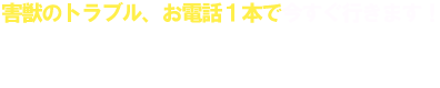 害獣のトラブル、お電話1本で今すぐ行きます！ 0120-8994-56